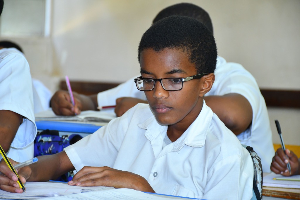 Primary students studying